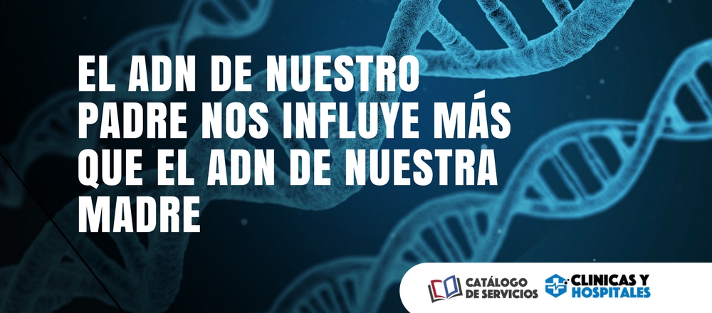 -el-adn-de-nuestro-padre-nos-influye-mas-que-el-adn-de-nuestra-madre