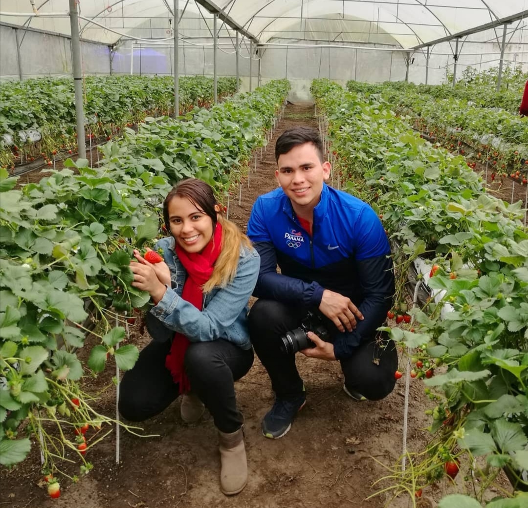 10-propiedades-y-beneficios-de-comer-fresas-