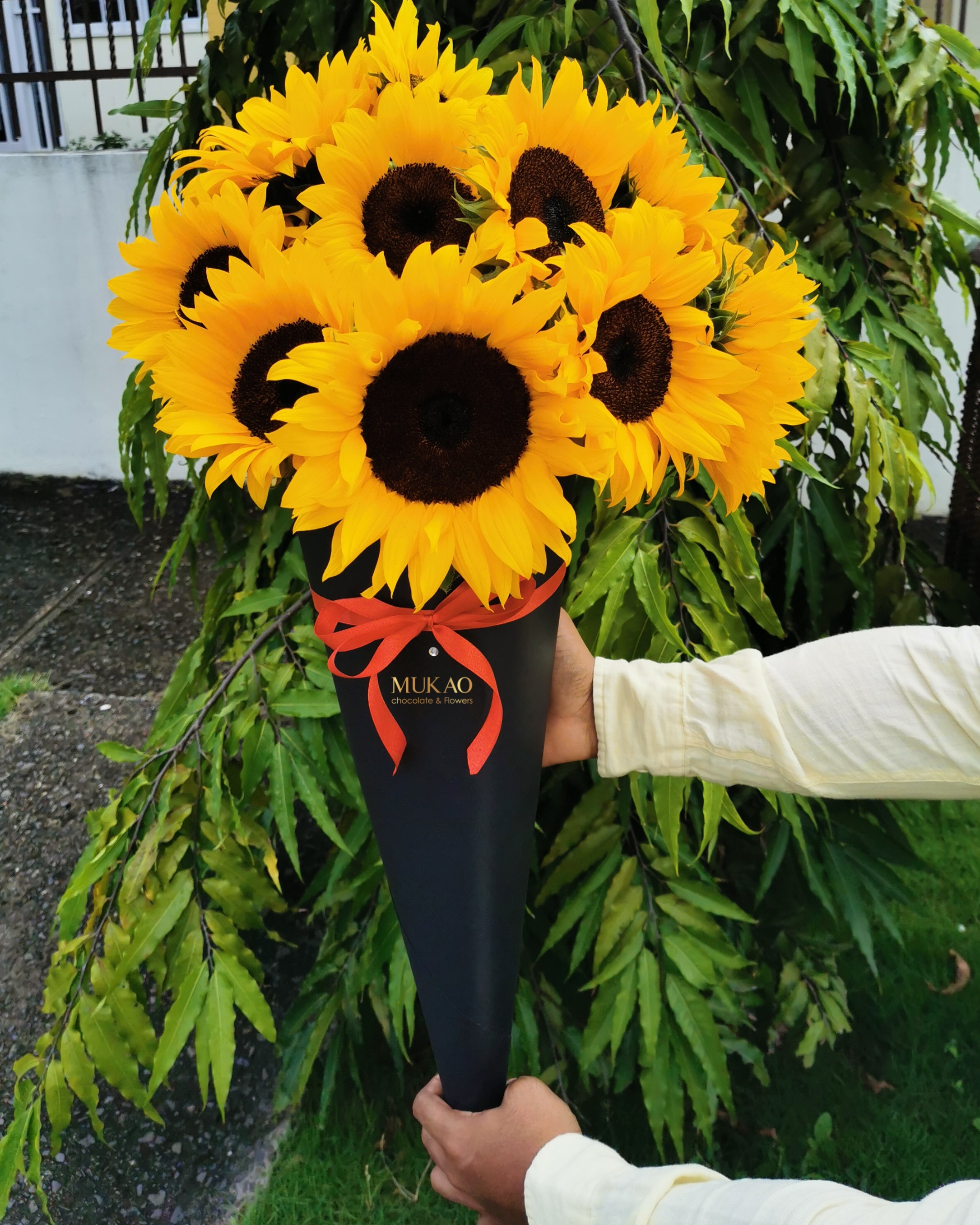 que-flores-regalar-en-cada-ocasion