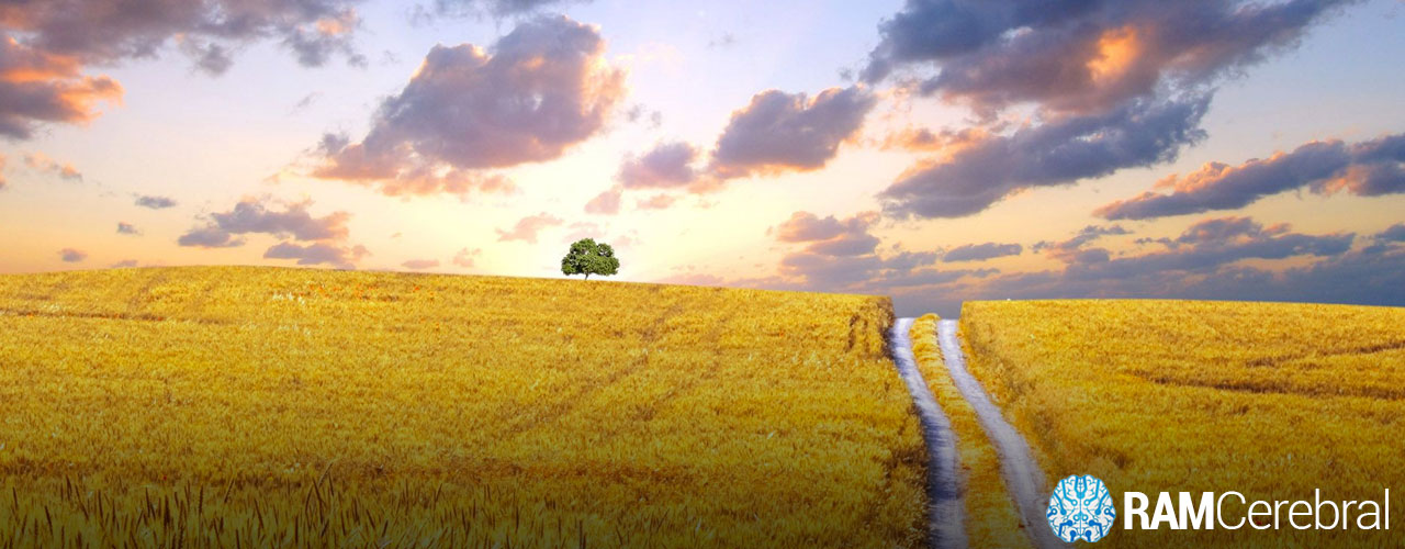 debes-estar-dispuesto-a-concentrarte-en-tu-sueno