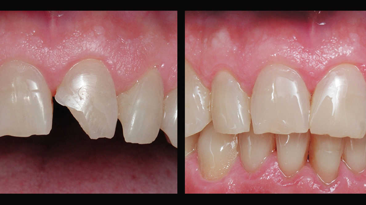 imitando-la-naturaleza