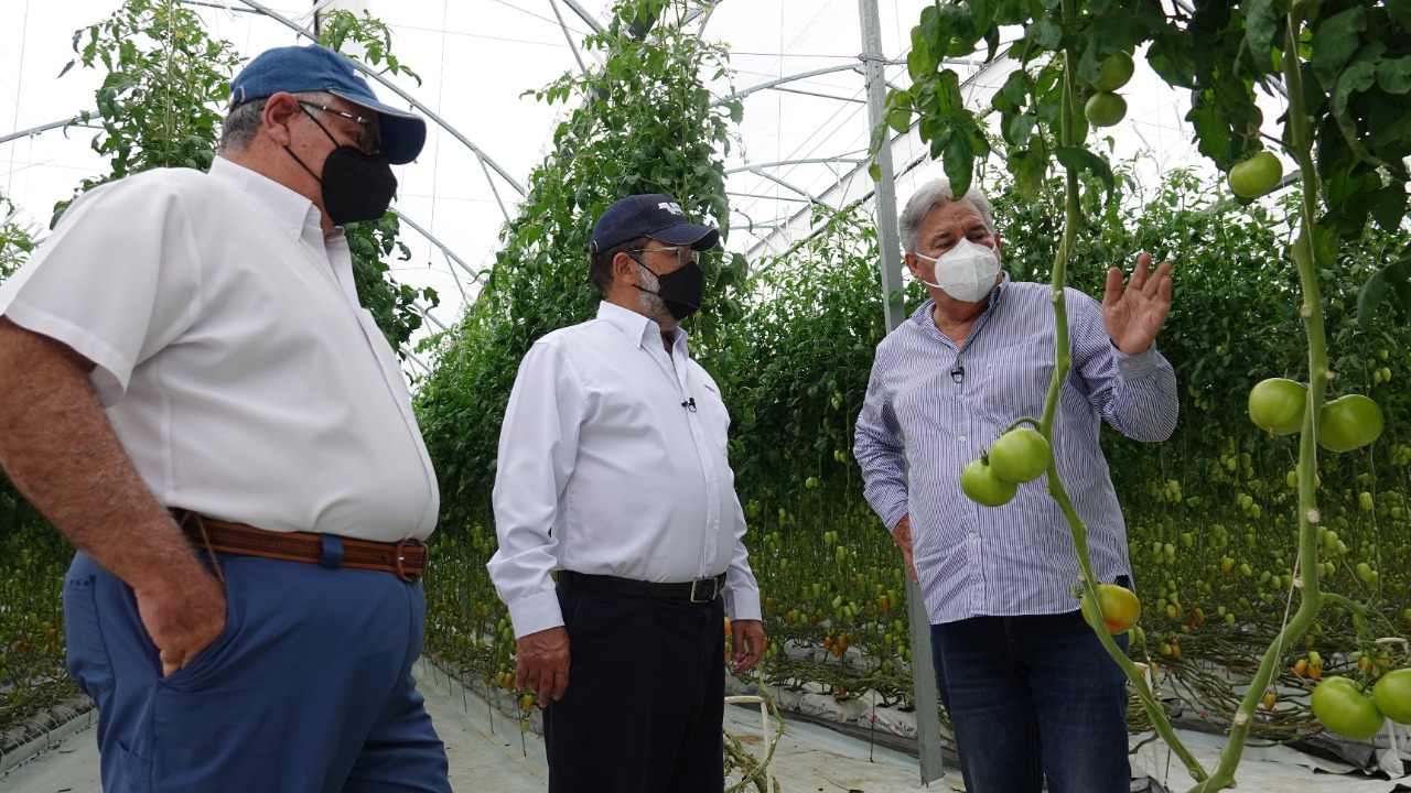 banconal-promueve-produccion-sostenible-de-hortalizas-en-2do-dia-de-campo-virtual