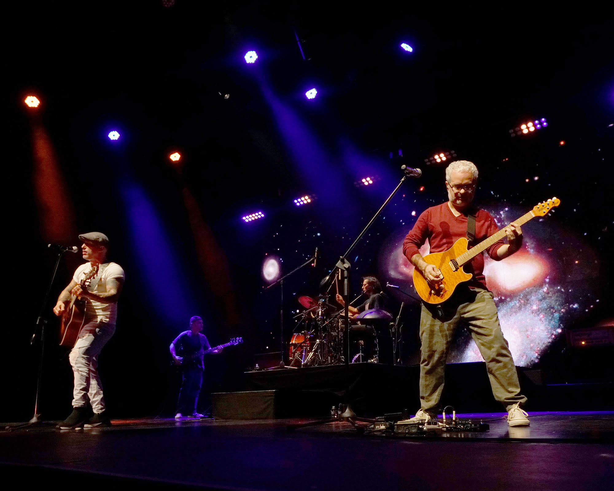 instinto-25-aniversario-de-ciudad-lagartija